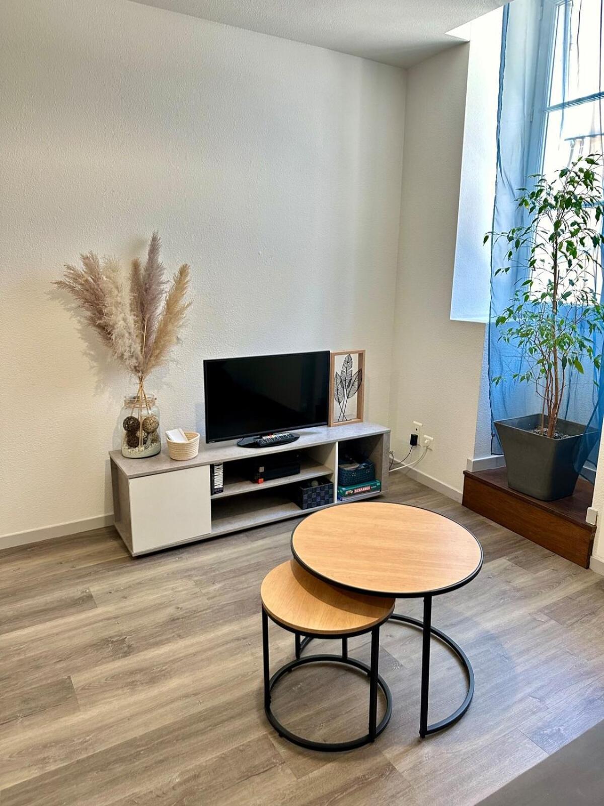 Appartement Calme Au Coeur De La Ville Lons-le-Saunier Eksteriør bilde